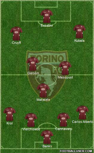 Torino Formation 2013