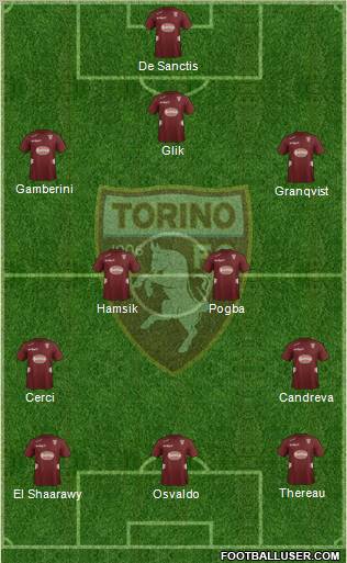 Torino Formation 2013