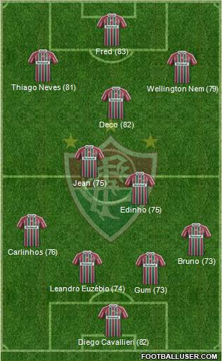 Fluminense FC Formation 2013