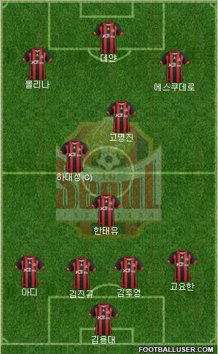 FC Seoul Formation 2013