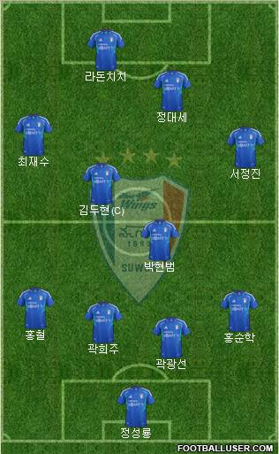 Suwon Samsung Blue Wings Formation 2013