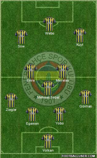 Fenerbahçe SK Formation 2013