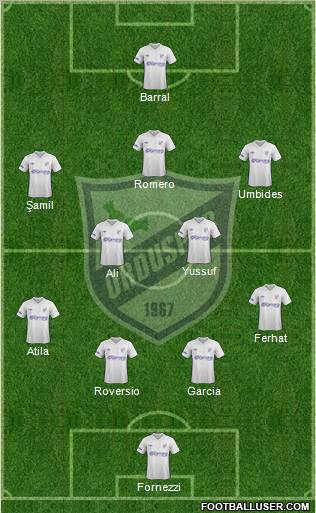 Orduspor Formation 2013