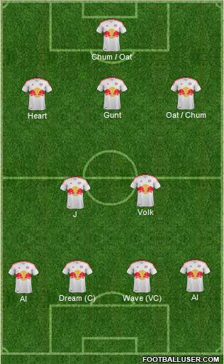 New York Red Bulls Formation 2013