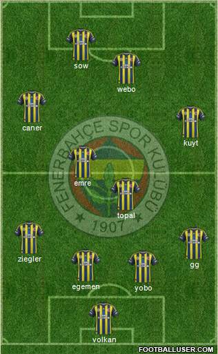 Fenerbahçe SK Formation 2013