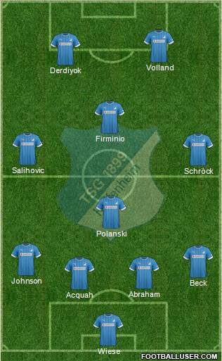 TSG 1899 Hoffenheim Formation 2013