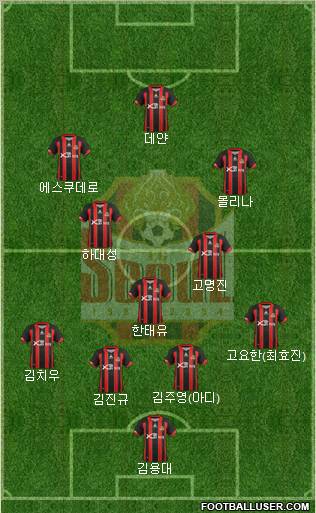 FC Seoul Formation 2013