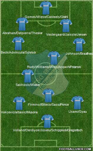 TSG 1899 Hoffenheim Formation 2013