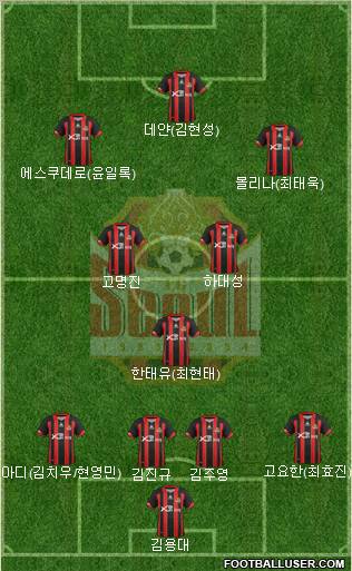 FC Seoul Formation 2013