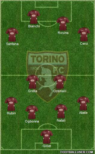 Torino Formation 2013