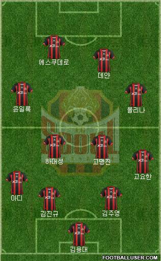 FC Seoul Formation 2013