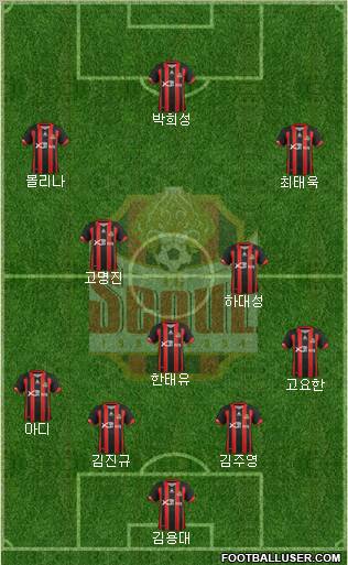 FC Seoul Formation 2013