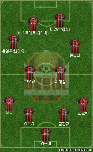 FC Seoul Formation 2013