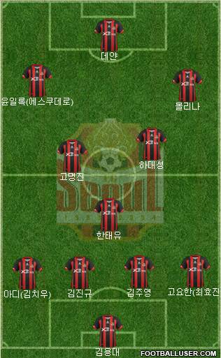 FC Seoul Formation 2013