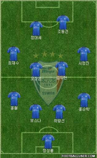 Suwon Samsung Blue Wings Formation 2013