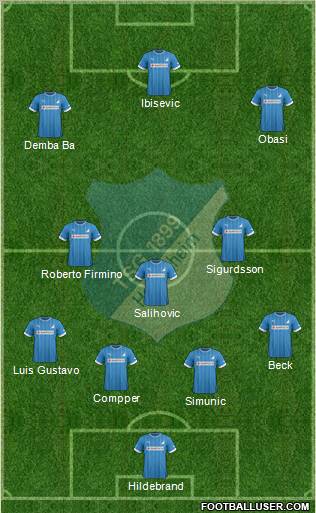 TSG 1899 Hoffenheim Formation 2013