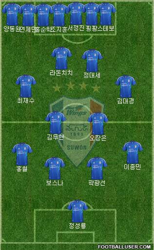 Suwon Samsung Blue Wings Formation 2013