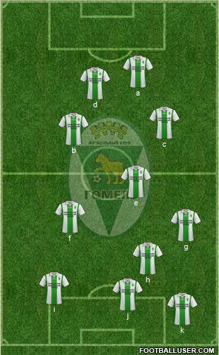 FC Gomel Formation 2013