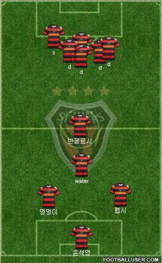 Pohang Steelers Formation 2013