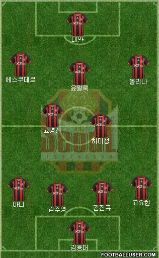 FC Seoul Formation 2013