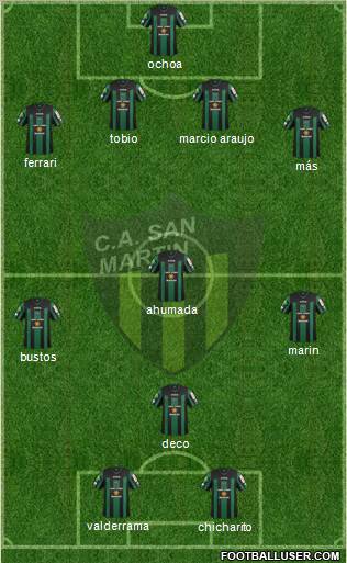 San Martín de San Juan Formation 2013