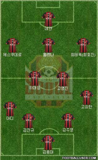 FC Seoul Formation 2013