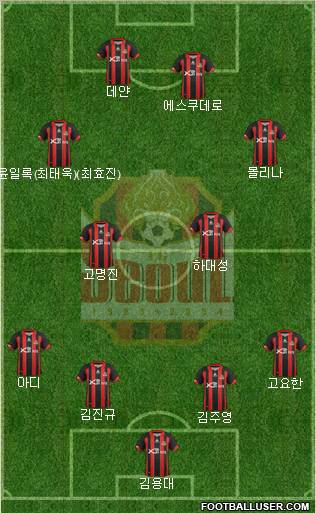 FC Seoul Formation 2013