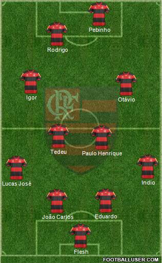 CR Flamengo Formation 2013