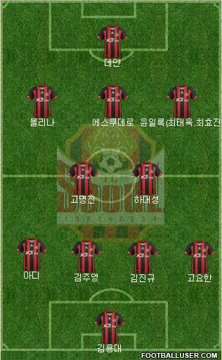 FC Seoul Formation 2013