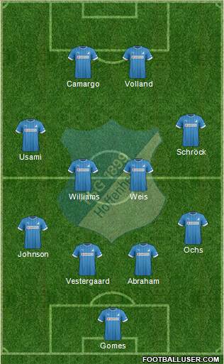 TSG 1899 Hoffenheim Formation 2013