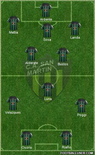 San Martín de San Juan Formation 2013