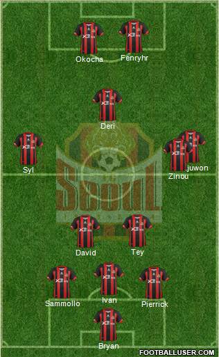 FC Seoul Formation 2013