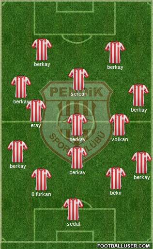 Pendikspor Formation 2013