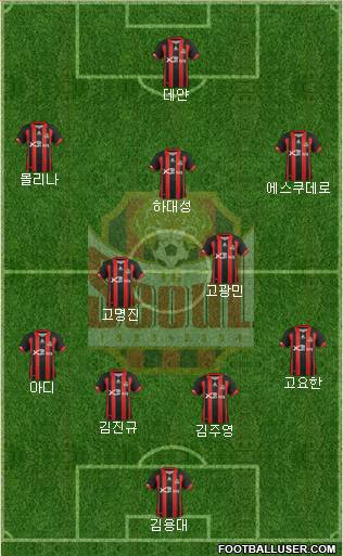 FC Seoul Formation 2013