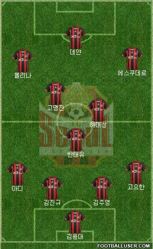 FC Seoul Formation 2013