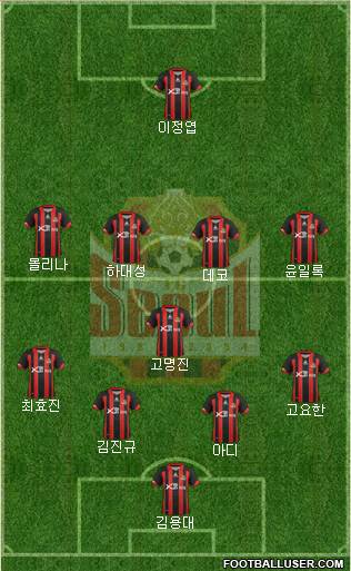 FC Seoul Formation 2013