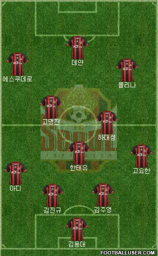 FC Seoul Formation 2013