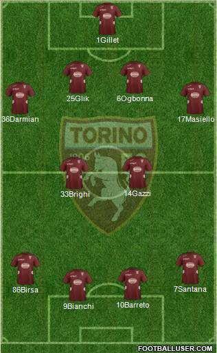 Torino Formation 2013