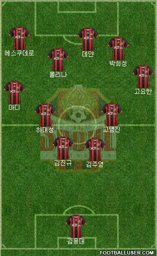 FC Seoul Formation 2013