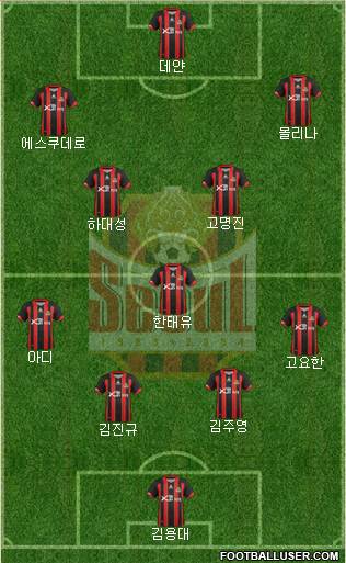 FC Seoul Formation 2013