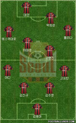 FC Seoul Formation 2013