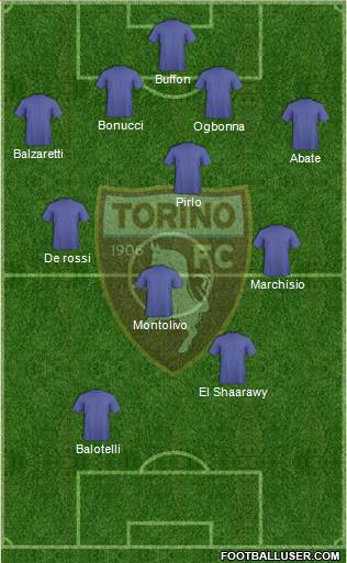 Torino Formation 2013