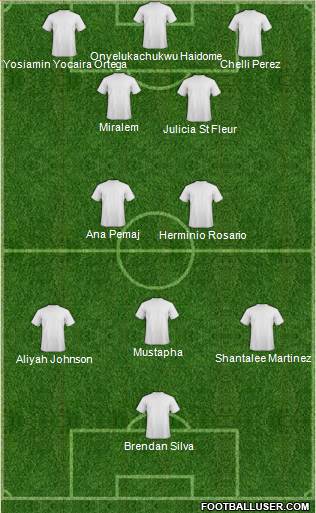 New York Red Bulls Formation 2013