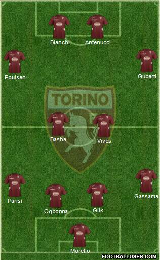 Torino Formation 2013