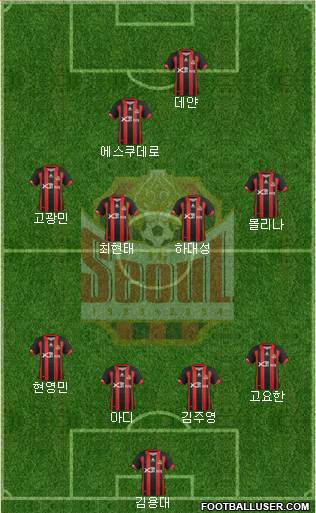 FC Seoul Formation 2013