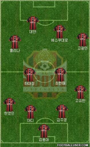 FC Seoul Formation 2013