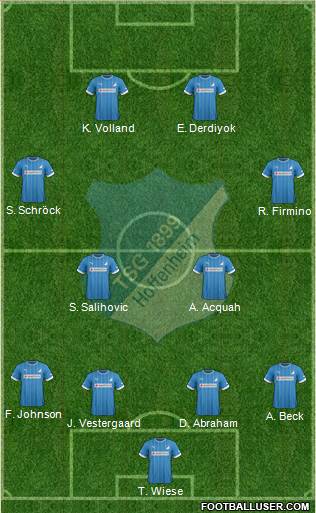 TSG 1899 Hoffenheim Formation 2013