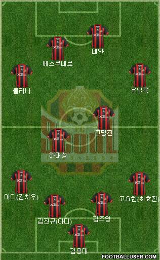 FC Seoul Formation 2013