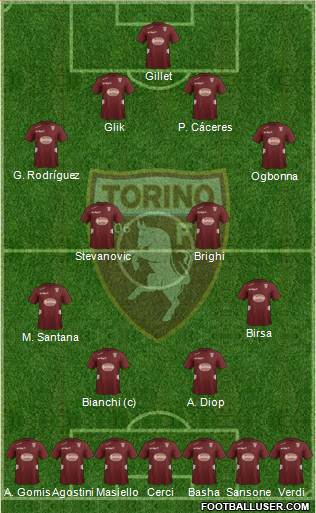 Torino Formation 2013