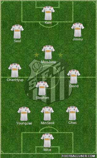 Santos FC Formation 2013